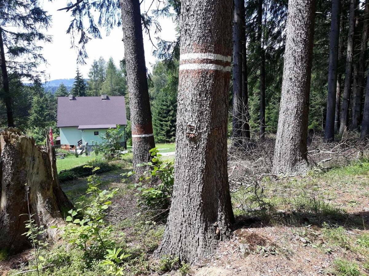 Chata Lipno ลิปโนนัดเวิลตาวู ภายนอก รูปภาพ